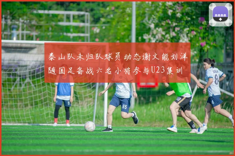 泰山队未归队球员动态谢文能刘洋随国足备战六名小将参与U23集训