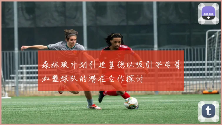 森林狼计划引进基德以吸引字母哥加盟球队的潜在合作探讨